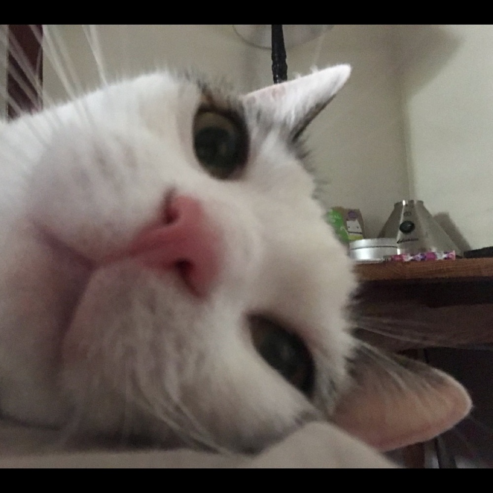 Meet your Posher, Jen